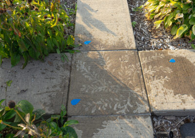 Œuvre, Rewilding Angus, de l'artiste Loren Williams pour l'exposition Les rendez-vous Angus