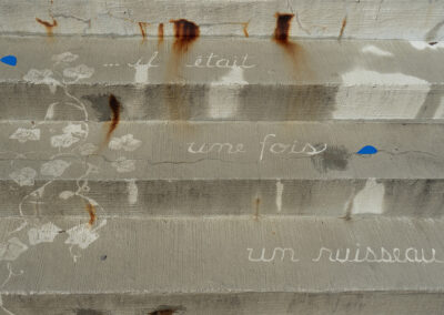 Dessins de l'artiste Loren Williams sur les marches d'un escalier. À côté des dessins de plantes est marqué " ... il était une fois un ruisseau "