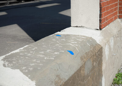 Dessins de l'artiste Loren Williams qui apparaîssent sur un mur en béton mouillé