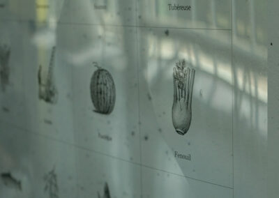 L'oeuvre, Cultiver... Comme une révolution, de l'artiste Patrick Bérubé est composée d'ne grille remplie de plantes et d'animaux